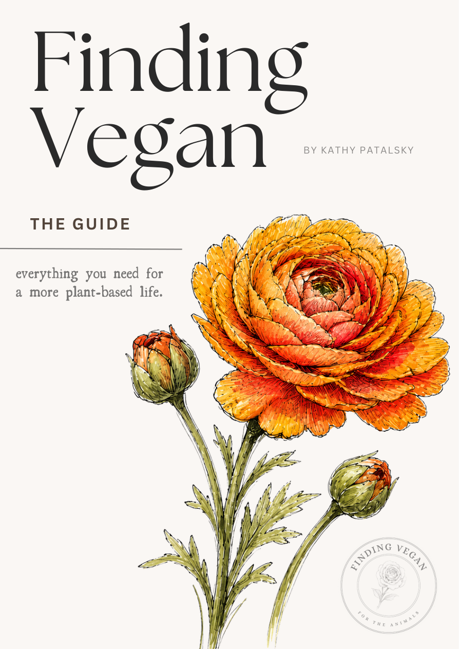 Finding Vegan — The Guide cover
